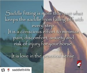 Image post by @performancesaddlefitssthsydney on Instagram