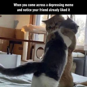 Image post by @9gag on Instagram
