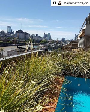 Image post by @hotelmadero on Instagram