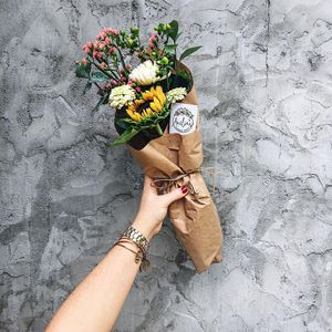 Image post by @collectivelykaitlyn on Instagram