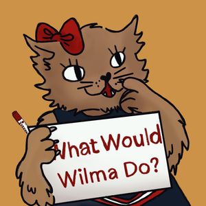 Image post by @dailywildcat on Instagram