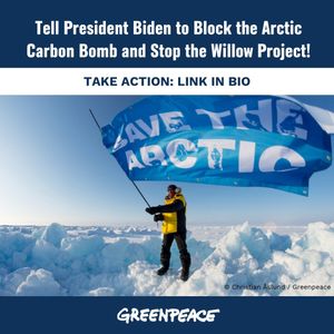 Image post by @greenpeaceusa on Instagram