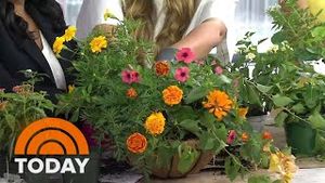 Video post by @today on YouTube