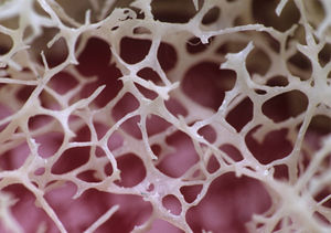 Image post by @ScienceChannel on Twitter/X