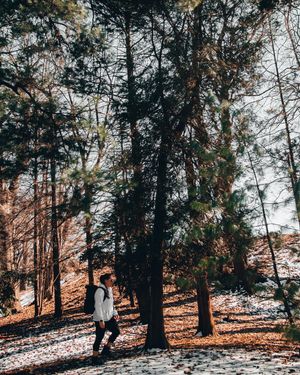 Image post by @ninamarie_creative on Instagram