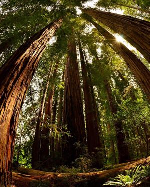Image post by @nationalparkservice on Instagram