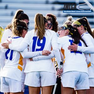 Image post by @hofstra_wlax on Instagram