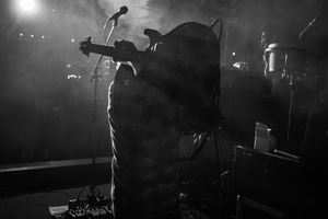 Image post by @dopapod on Instagram