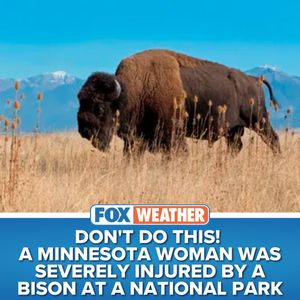 Image post by @foxweather on Instagram