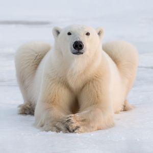 Image post by @discovery on Instagram