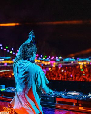 Image post by @bassrush on Instagram