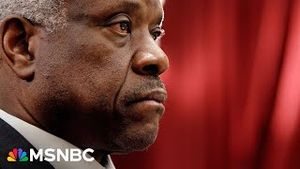 Video post by @msnbc on YouTube