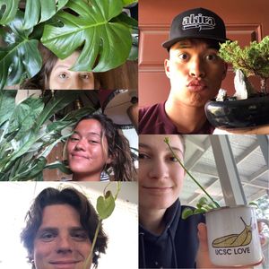 Image post by @ucsc_athrec on Instagram