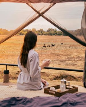 Image post by @chiawasafaris on Instagram