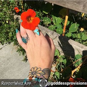 Image post by @highchienergy on Instagram