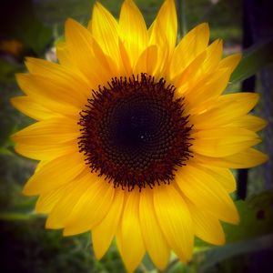 Image post by @kidsgardening on Instagram