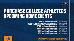 Image post by @purchasecollegeathletics on Instagram