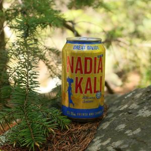 Image post by @greatdividebrew on Instagram