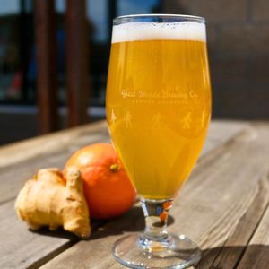 Image post by @greatdividebrew on Instagram