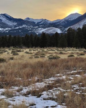 Image post by @nauflagstaff on Instagram