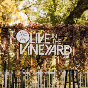 Image post by @liveinthevineyard on Instagram