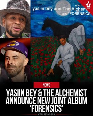 Image post by @WORLDSTAR on Twitter/X