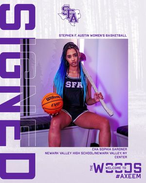 Image post by @SFAWBB on Twitter/X