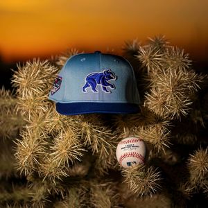 Image post by @cubs on Instagram