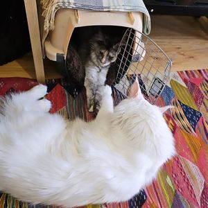 Image post by @hollysmee on Instagram