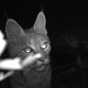 Image post by @nationalparkservice on Instagram