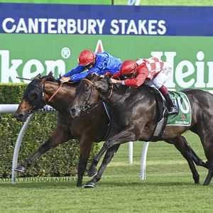 Image post by @australianturfclub on Instagram