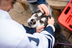 Image post by @langleyrivermen on Instagram