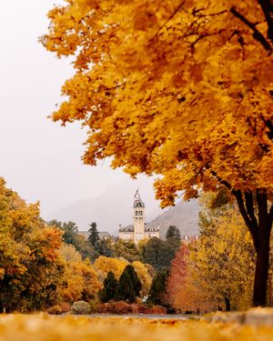 Image post by @utahstatealumni on Instagram