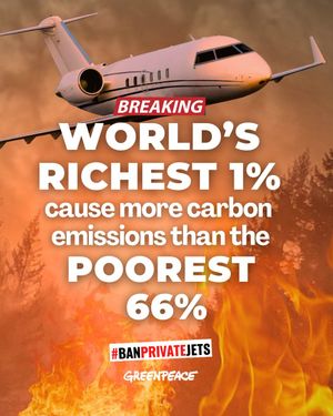 Image post by @greenpeace on Instagram