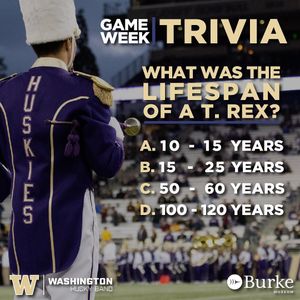 Image post by @huskyband on Instagram
