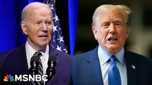 Video post by @msnbc on YouTube