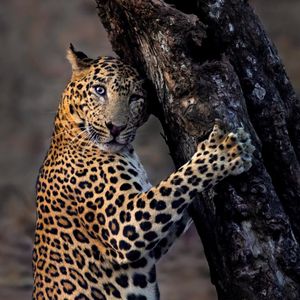 Image post by @discovery on Instagram