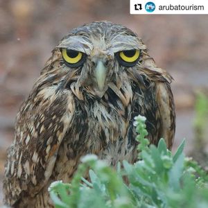 Image post by @kinikinitours on Instagram