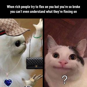 Image post by @9gag on Instagram