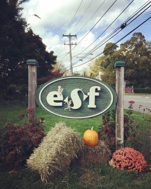 Image post by @esfcamps on Instagram