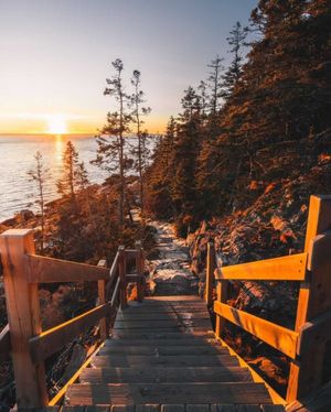 Image post by @themainemag on Instagram
