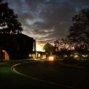 Image post by @asicsuf on Instagram