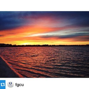 Image post by @fgcu_vb on Instagram