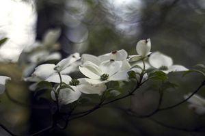 Image post by @fotodioxpro on Instagram