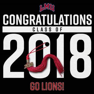 Image post by @lmulions on Instagram