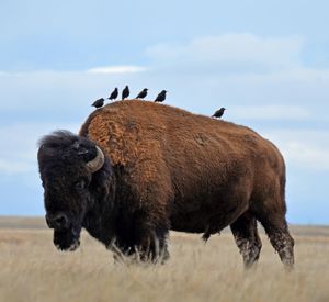 Image post by @nationalparkservice on Instagram