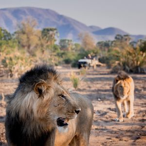 Image post by @chiawasafaris on Instagram