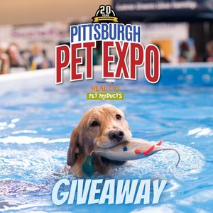 Image post by @pghcitypaper on Instagram