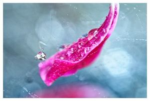 Image post by @fotodioxpro on Instagram