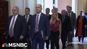 Video post by @msnbc on YouTube